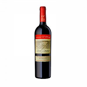 ��� ���� ��� ���� ����